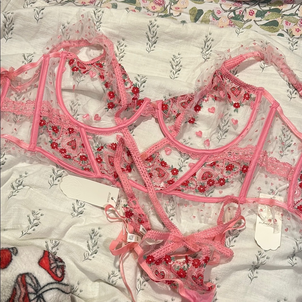 Floral Embroidered Pink Lingerie Set For Love and Lemons